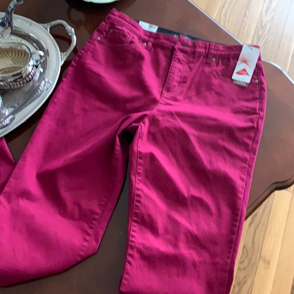 NWT Garnet 5 pocket Jeans